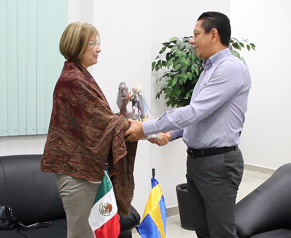 Llaven abarca se reúne con embajadora de Suecia en México