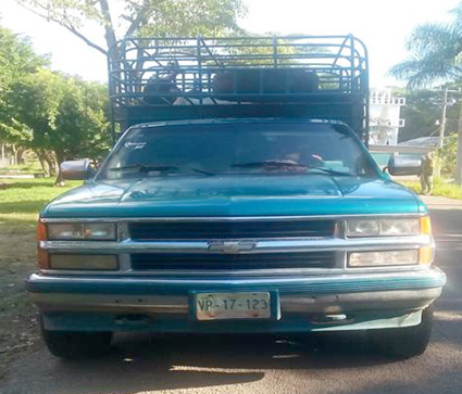 Mediante retén vehicular grupo de coordinación en seguridad combaten el delito de Abigeato en Palenque